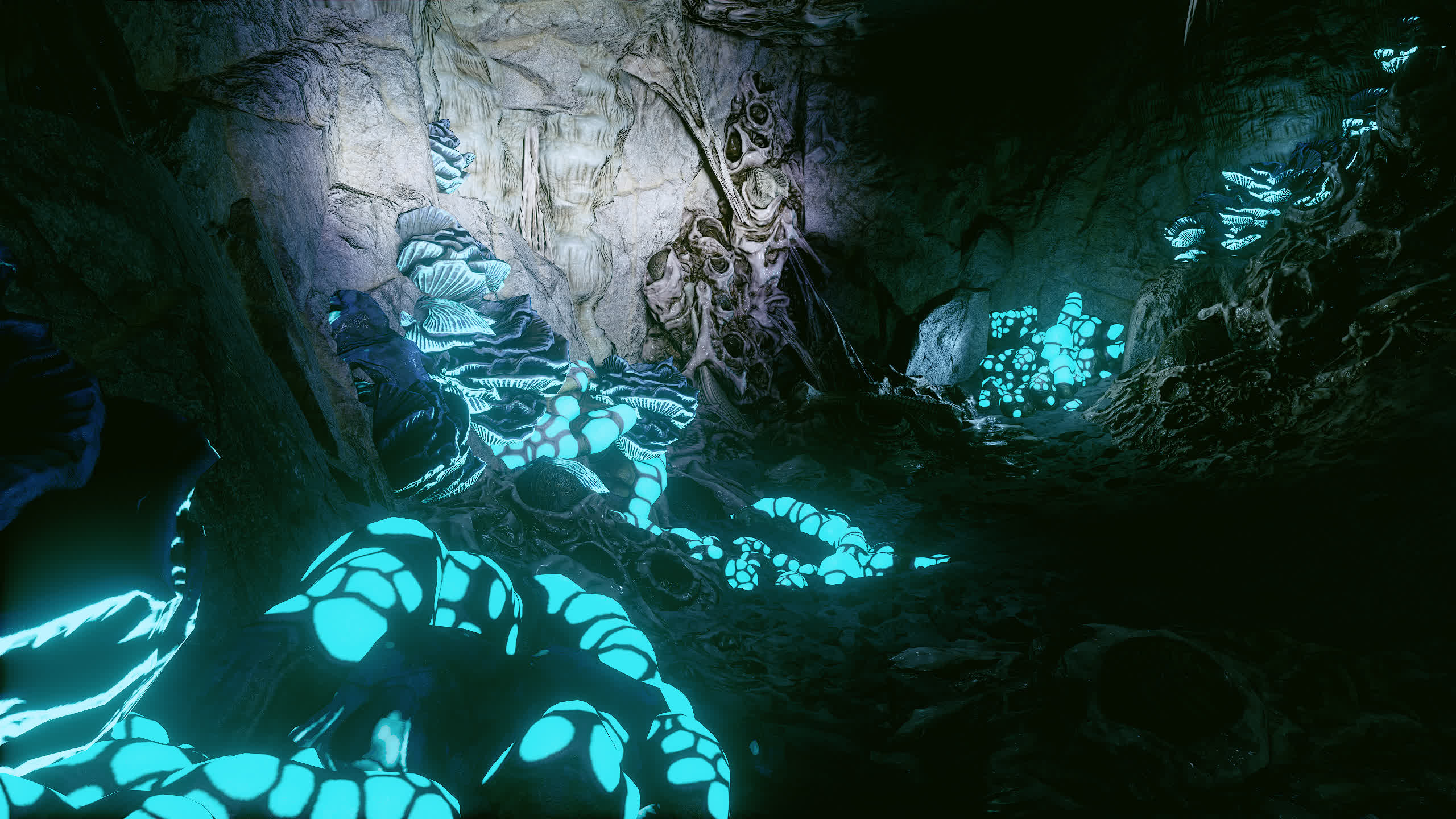 Some random cave with glowing fungus